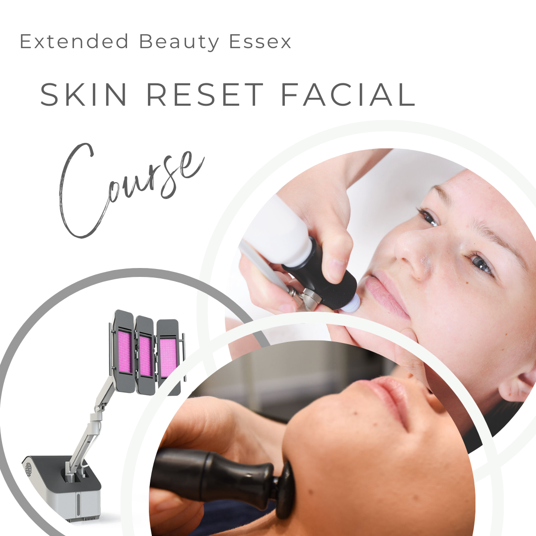 Skin Reset Facial Course