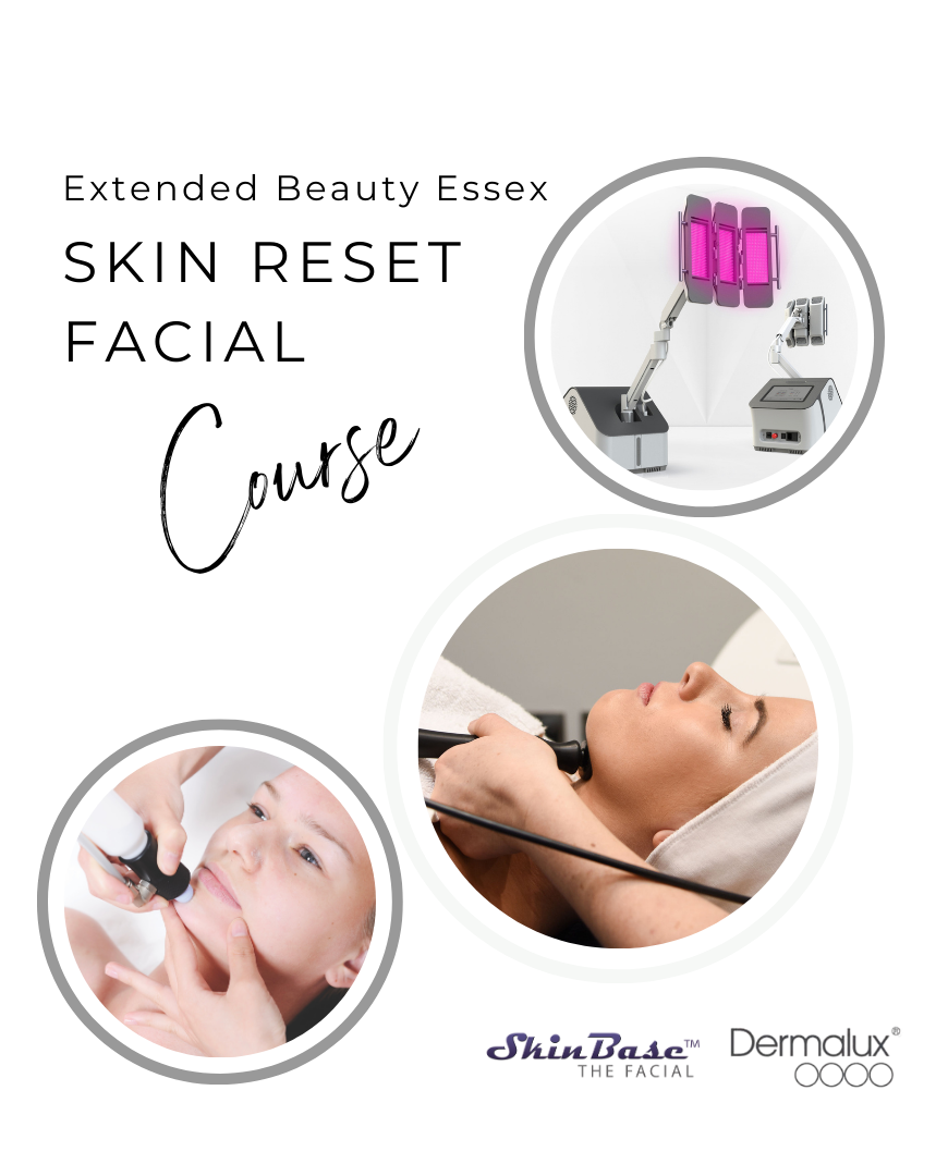 Skin Reset Facial Course